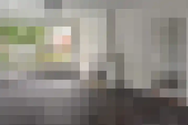 Professor Ulricus Huberstraat 15 Franeker thumbnail 10