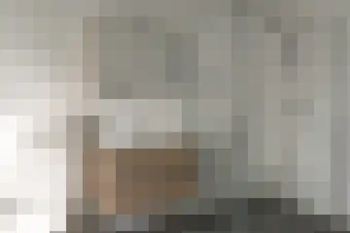 Professor Ulricus Huberstraat 15 Franeker thumbnail 27