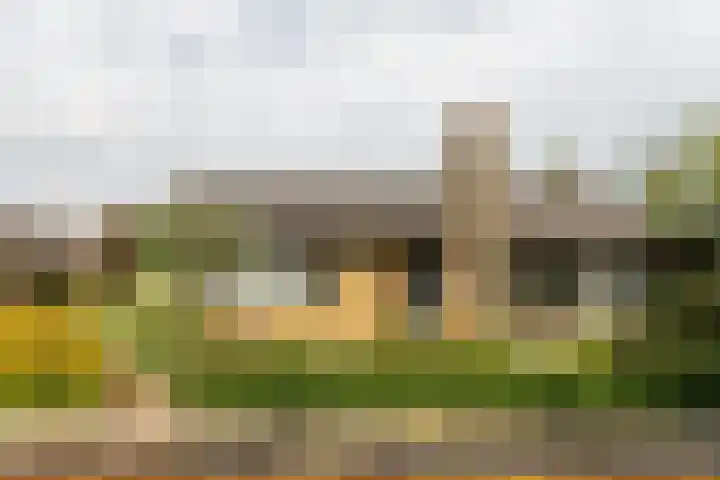 Professor Ulricus Huberstraat 15 Franeker thumbnail 33