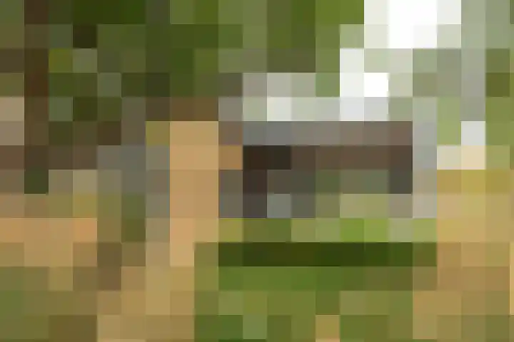 Professor Ulricus Huberstraat 15 Franeker thumbnail 5