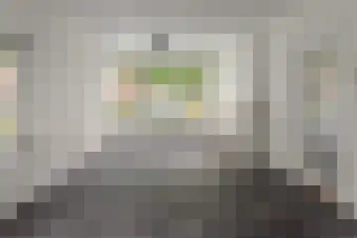 Professor Ulricus Huberstraat 15 Franeker thumbnail 9