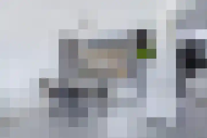 Professor Ulricus Huberstraat 21 Franeker thumbnail 15