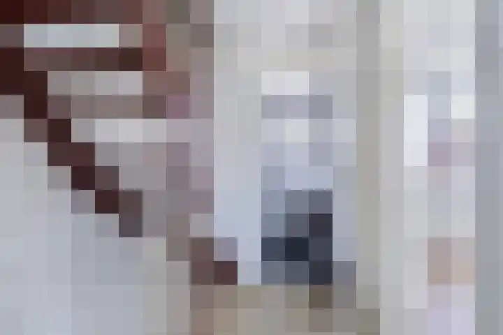 Professor Ulricus Huberstraat 21 Franeker thumbnail 31