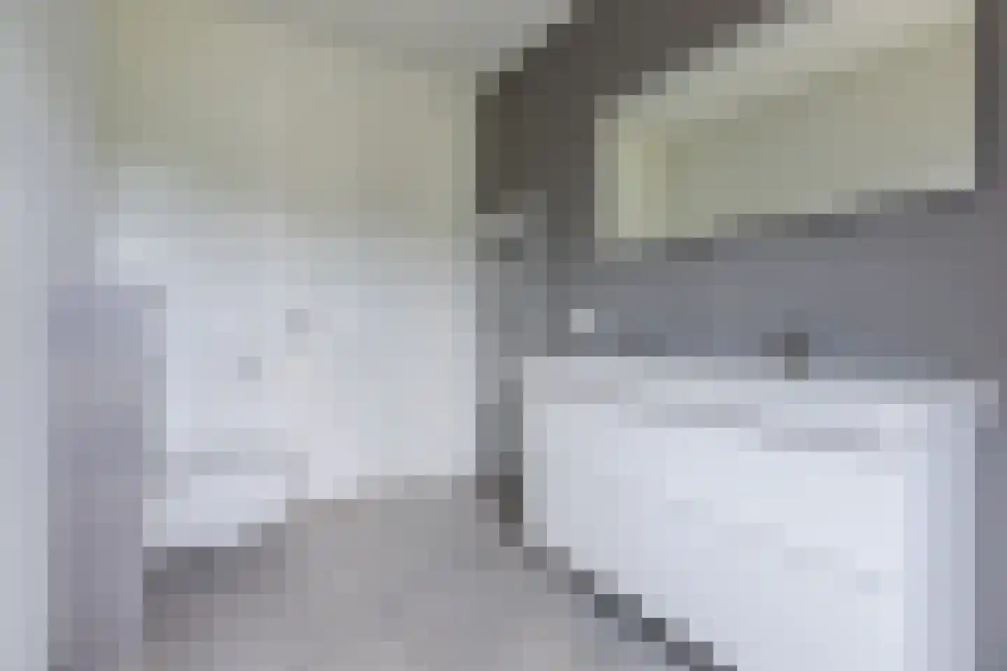 Professor van Buchemlaan 2 04 Tilburg thumbnail 19
