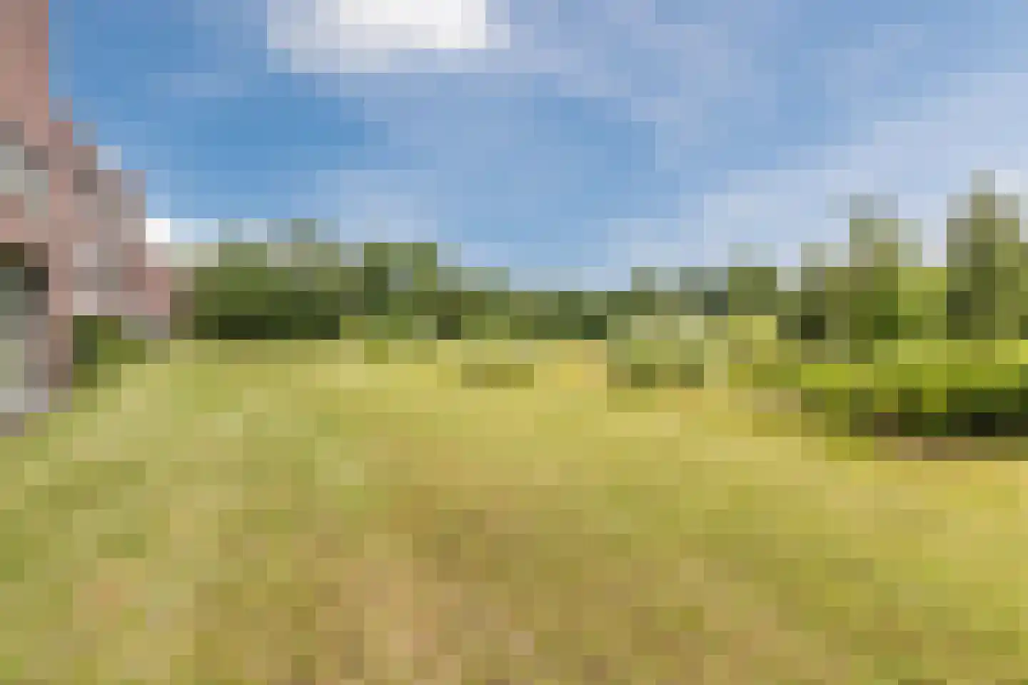 Professor van Buchemlaan 2 04 Tilburg thumbnail 31