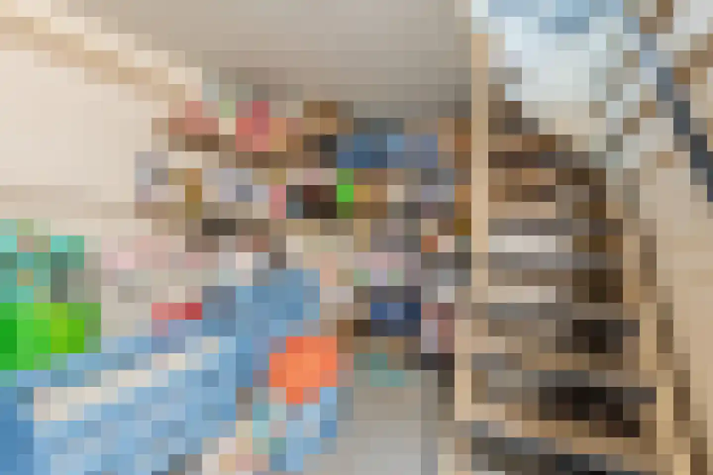 Professor van der Grintenstraat 6 Nijmegen thumbnail 13