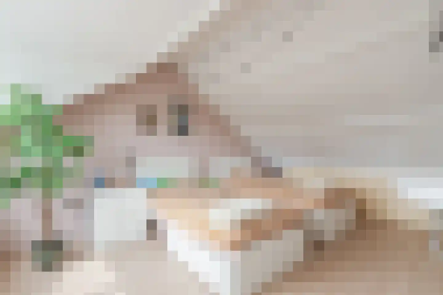 Professor van der Grintenstraat 6 Nijmegen thumbnail 30