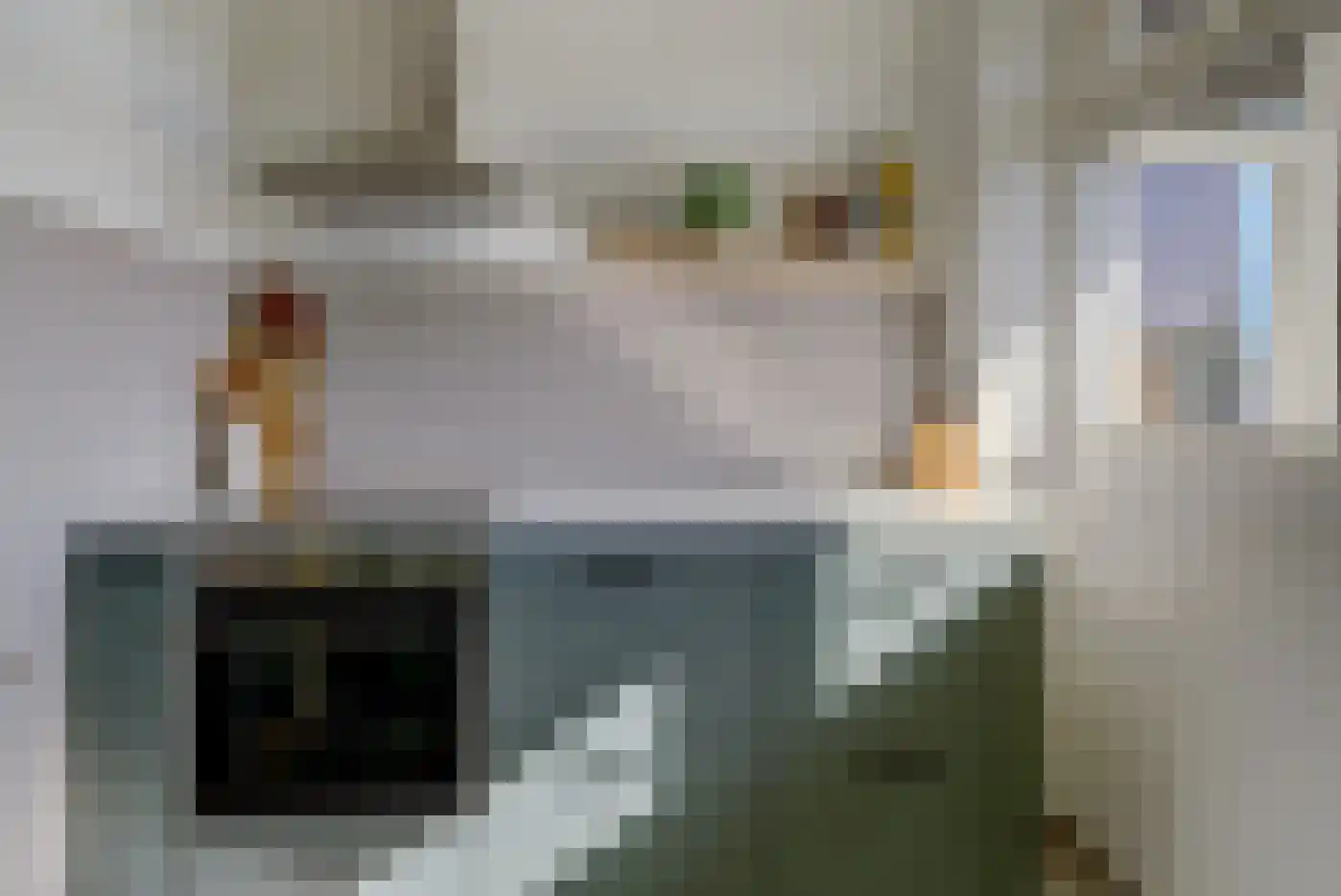 Professor van der Heijdenstraat 15 Nijmegen thumbnail 10