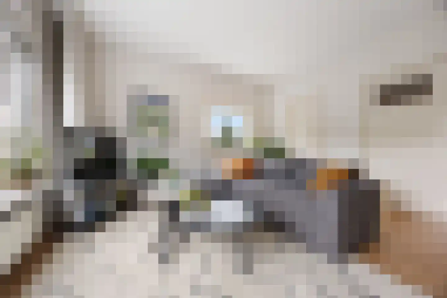 Professor van der Heijdenstraat 2 Nijmegen thumbnail 12