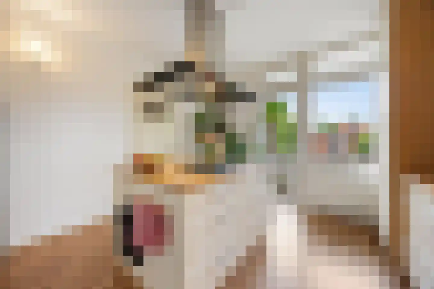 Professor van der Heijdenstraat 2 Nijmegen thumbnail 17