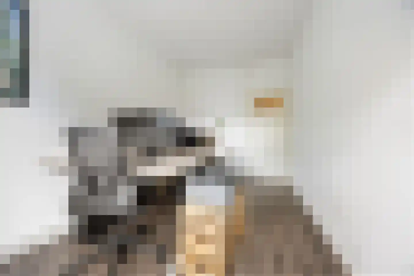 Professor van der Heijdenstraat 2 Nijmegen thumbnail 21