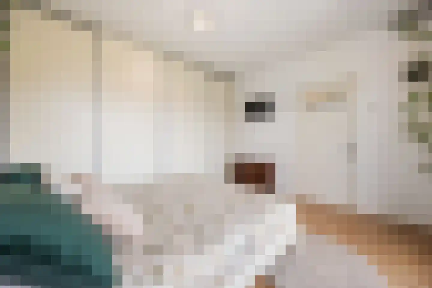 Professor van der Heijdenstraat 2 Nijmegen thumbnail 24