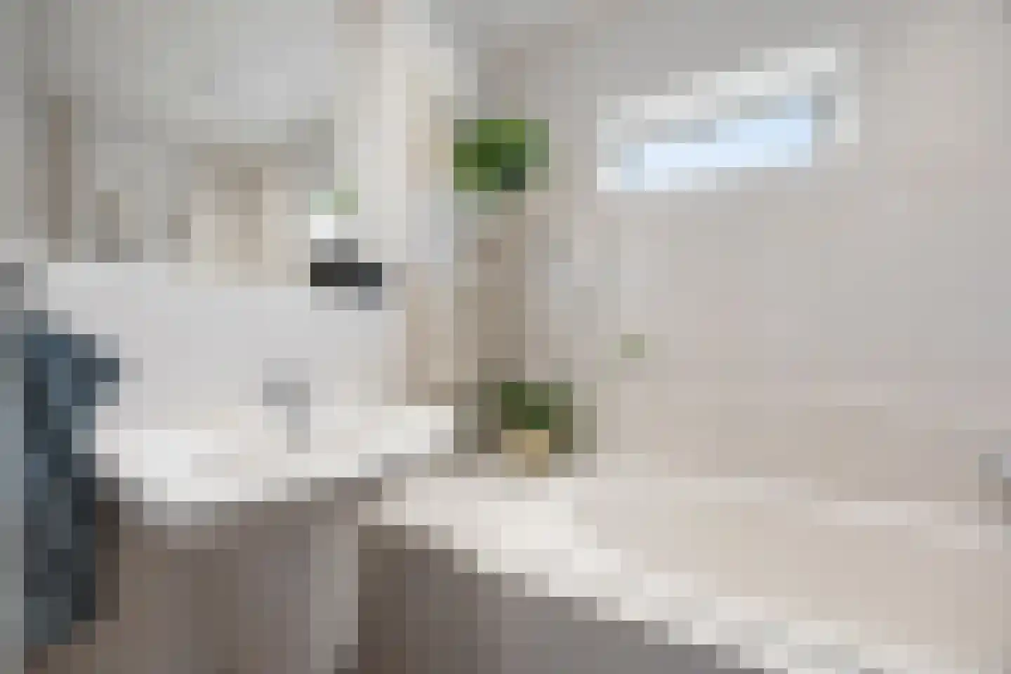 Professor van der Heijdenstraat 2 Nijmegen thumbnail 28