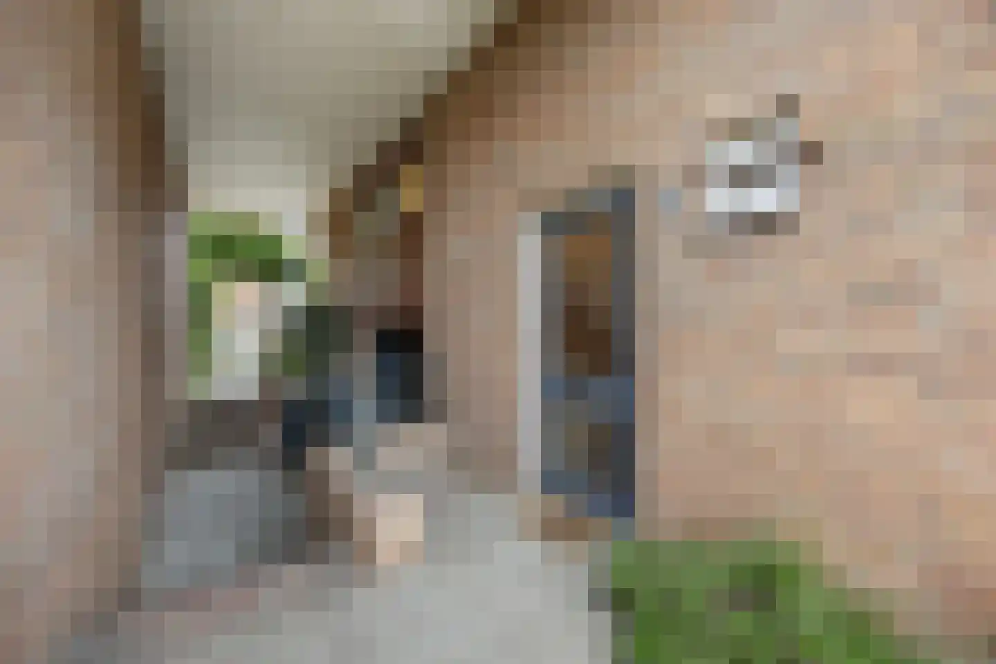 Professor van der Heijdenstraat 2 Nijmegen thumbnail 5