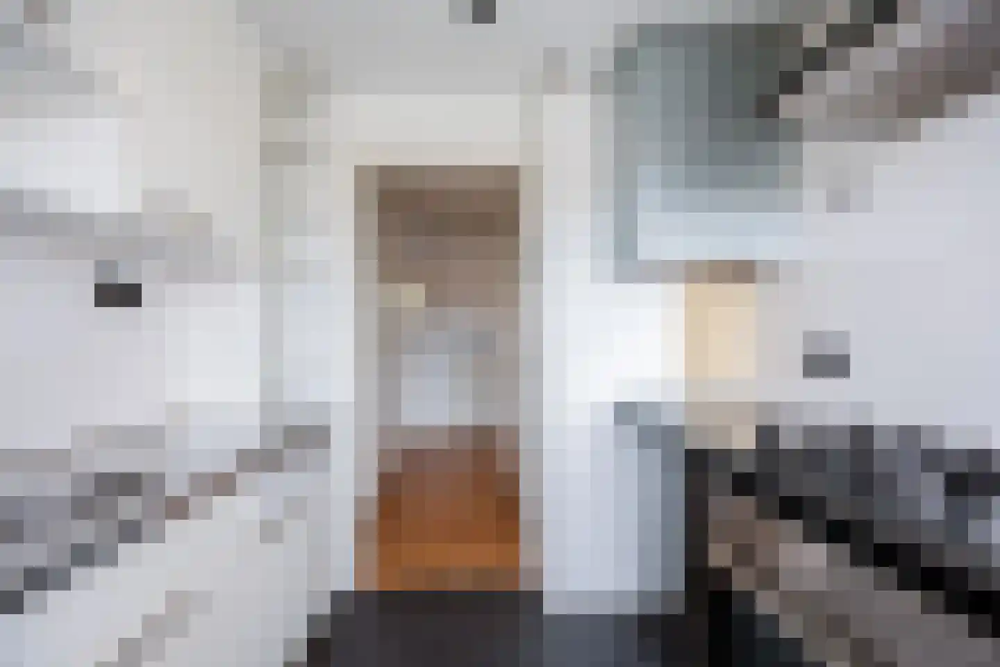 Professor van der Heijdenstraat 33 Nijmegen thumbnail 19