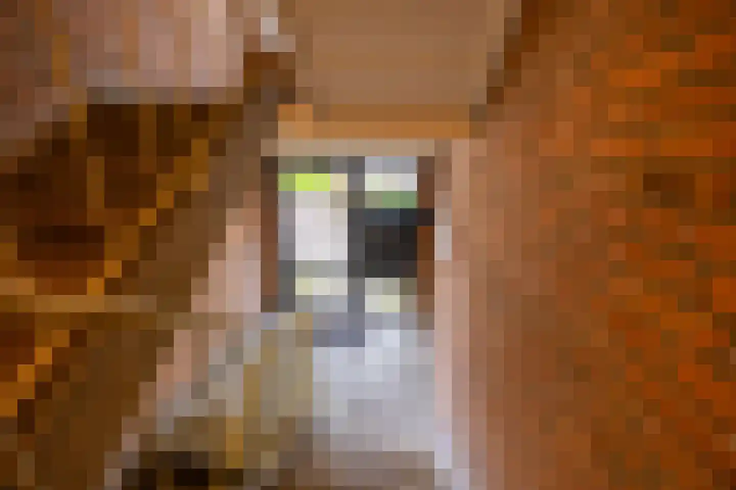 Professor van der Heijdenstraat 33 Nijmegen thumbnail 29