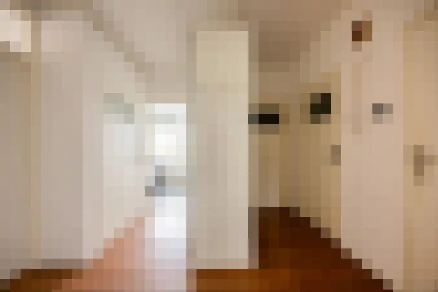 Professor van der Heijdenstraat 33 Nijmegen thumbnail 7
