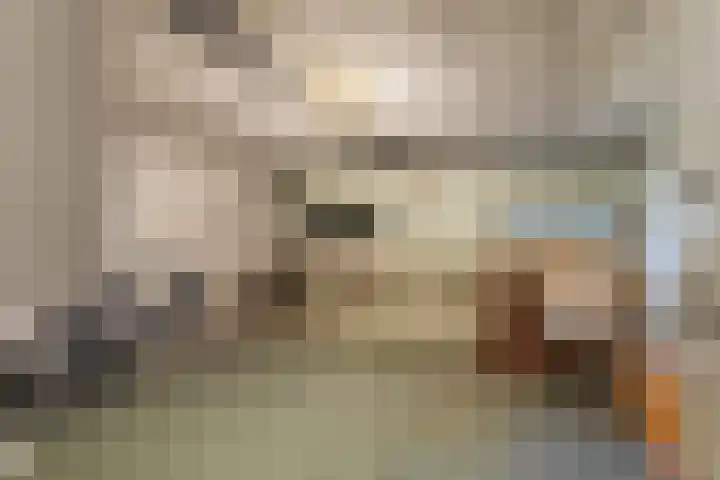 Professor van der Heijdenstraat 36 Nijmegen thumbnail 23