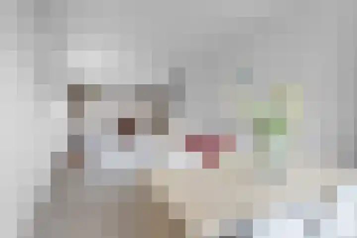 Professor van der Heijdenstraat 36 Nijmegen thumbnail 4