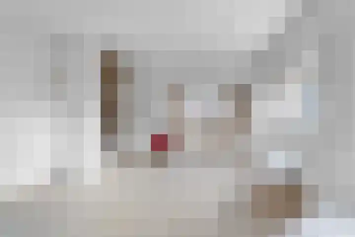 Professor van der Heijdenstraat 36 Nijmegen thumbnail 5