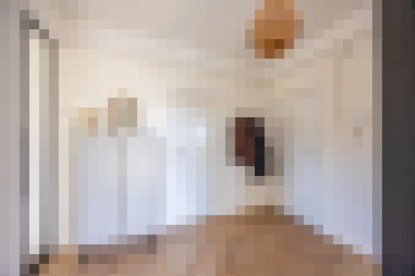 Professor van der Heijdenstraat 37 Nijmegen thumbnail 7