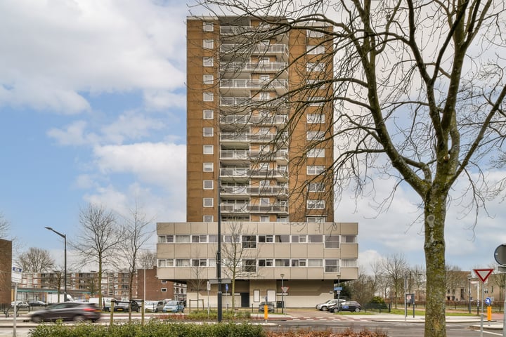 Professor Van der Scheerstraat 203C dans Haarlem photo