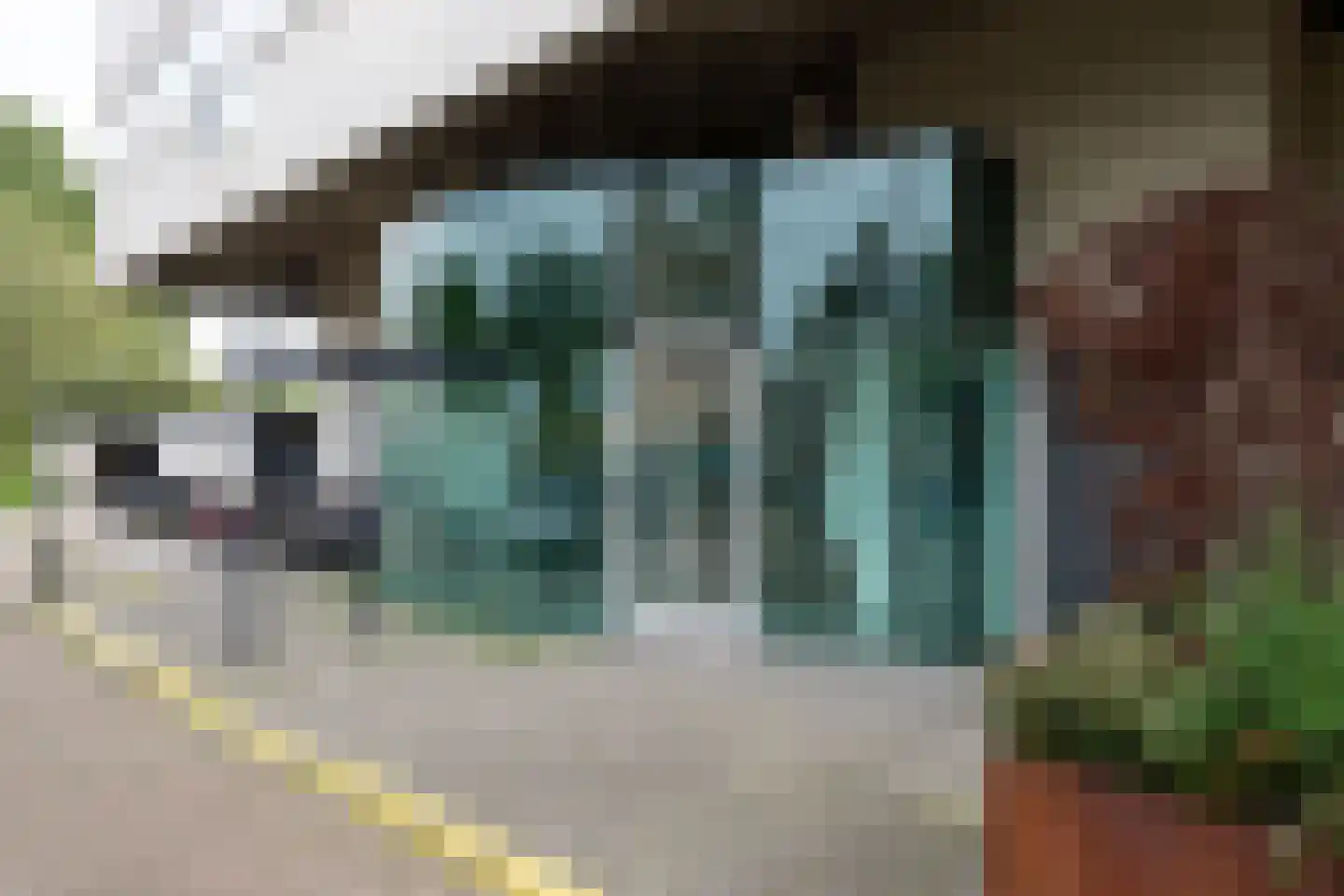 Professor Van der Scheerstraat 215 Haarlem thumbnail 24