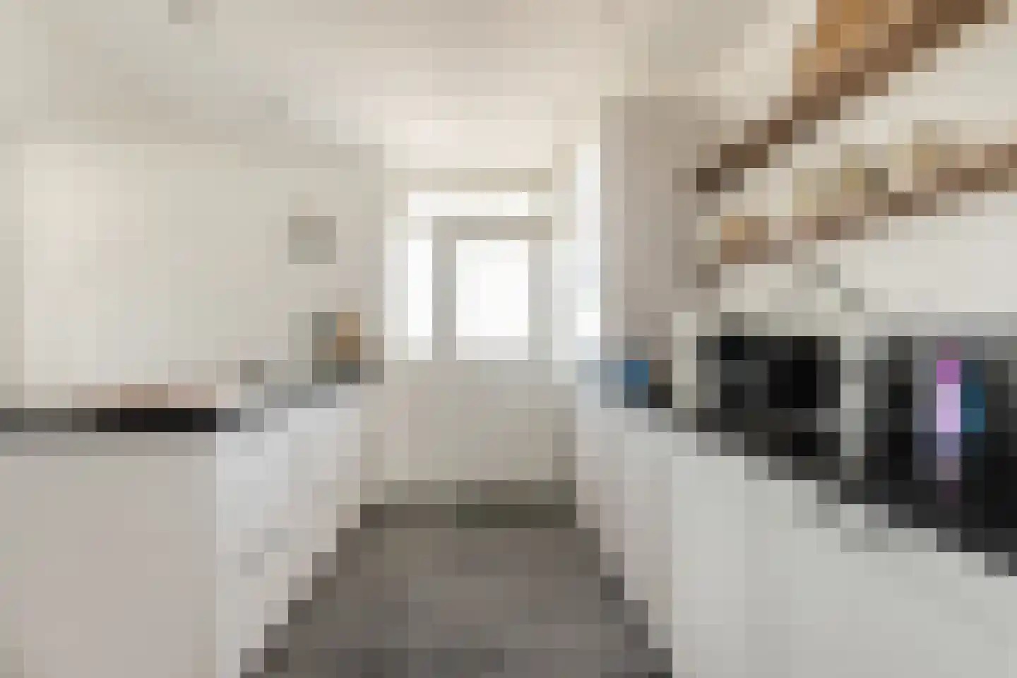 Professor Van der Scheerstraat 297 Haarlem thumbnail 18