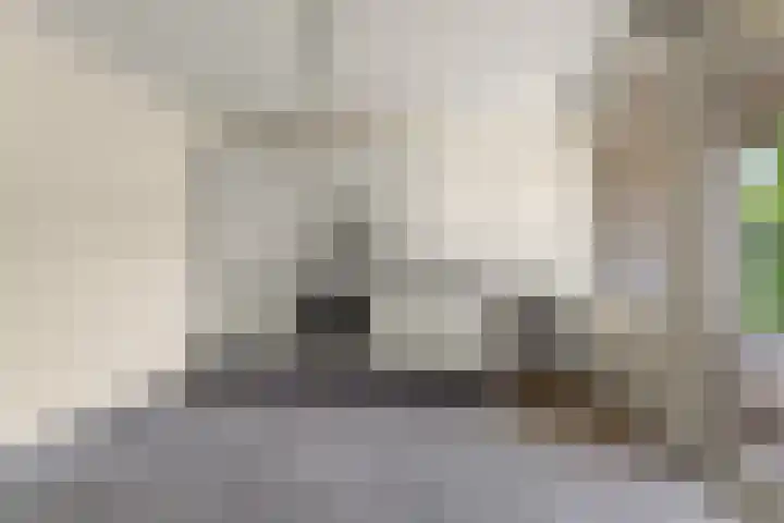 Professor van der Veldenstraat 1 Nijmegen thumbnail 15
