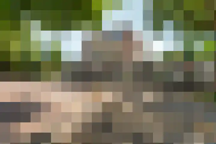 Professor van der Veldenstraat 1 Nijmegen thumbnail 6