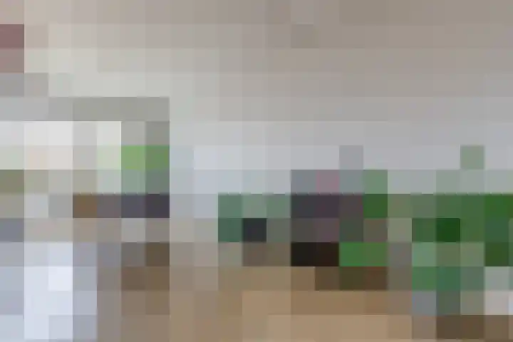 Professor van der Veldenstraat 11 Nijmegen thumbnail 8