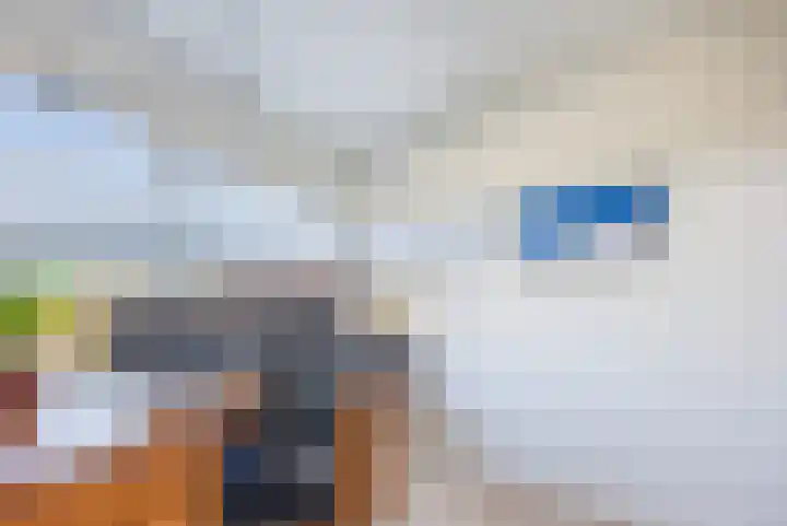 Professor van der Veldenstraat 32 Nijmegen thumbnail 16
