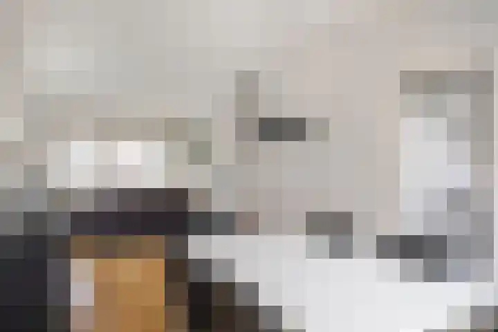 Professor van der Veldenstraat 36 Nijmegen thumbnail 11