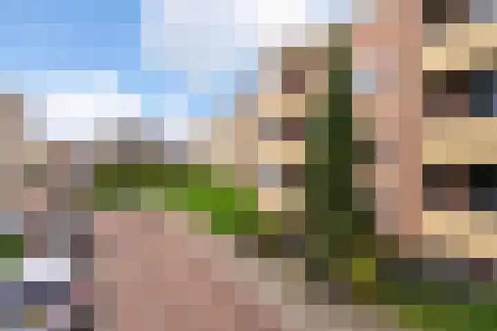 Professor van der Veldenstraat 36 Nijmegen thumbnail 24