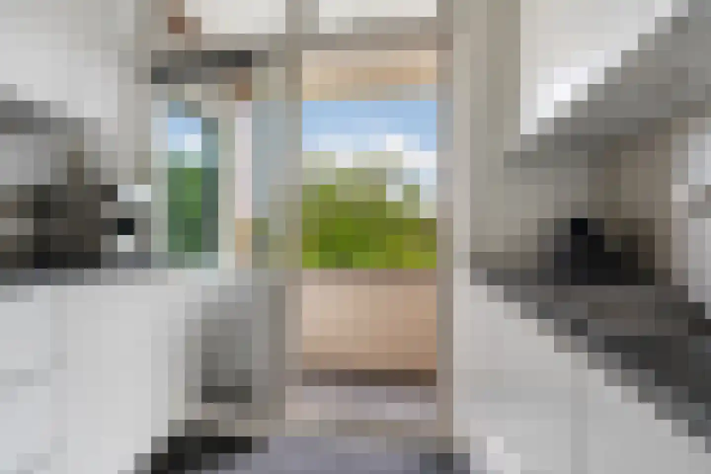 Professor van der Veldenstraat 9 Nijmegen thumbnail 17