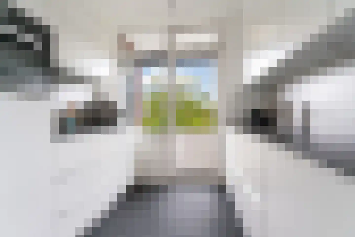 Professor van der Veldenstraat 9 Nijmegen thumbnail 4