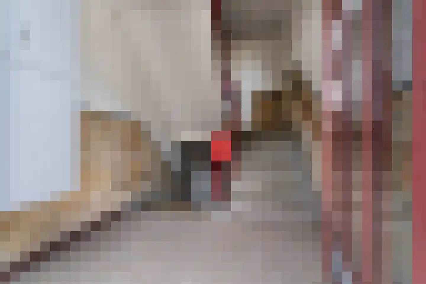 Professor van der Veldenstraat 9 Nijmegen thumbnail 6