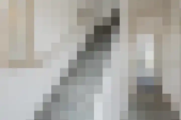 Professor Van der Waalslaan 12 Voorschoten thumbnail 12