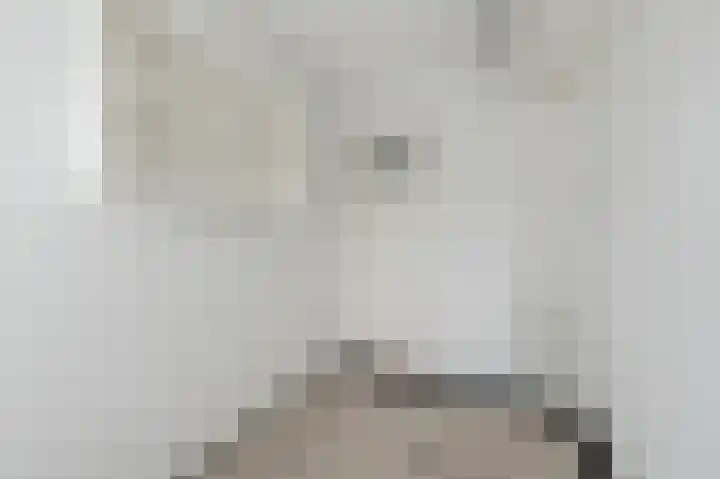 Professor Van der Waalslaan 12 Voorschoten thumbnail 15