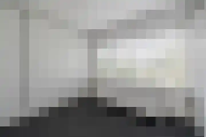 Professor Van der Waalslaan 12 Voorschoten thumbnail 18