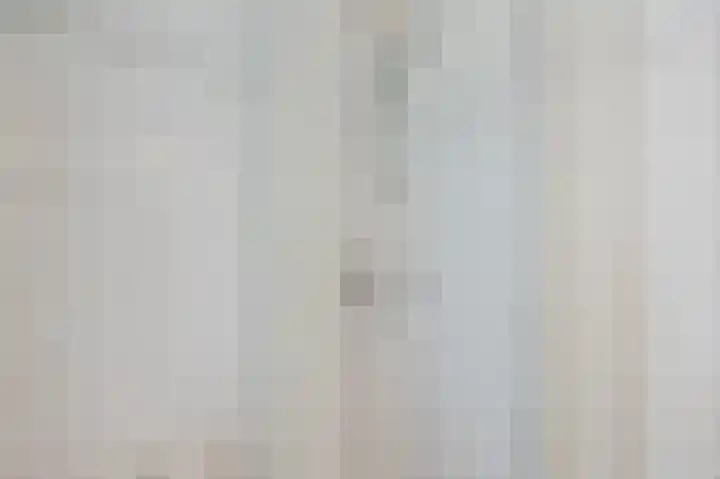 Professor Van der Waalslaan 12 Voorschoten thumbnail 21