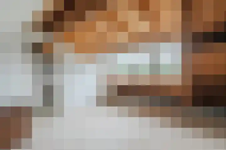 Professor Van der Waalslaan 12 Voorschoten thumbnail 24