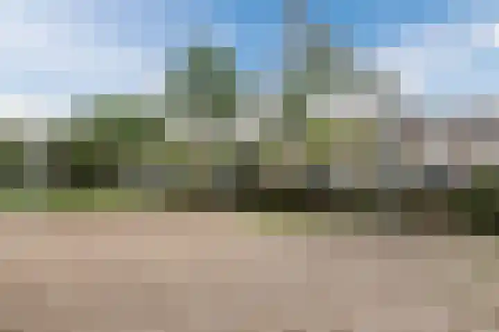 Professor Van der Waalslaan 12 Voorschoten thumbnail 33