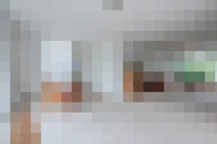 Professor Van der Waalslaan 12 Voorschoten thumbnail 8