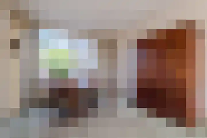 Professor Van der Waalslaan 14 Voorschoten thumbnail 11