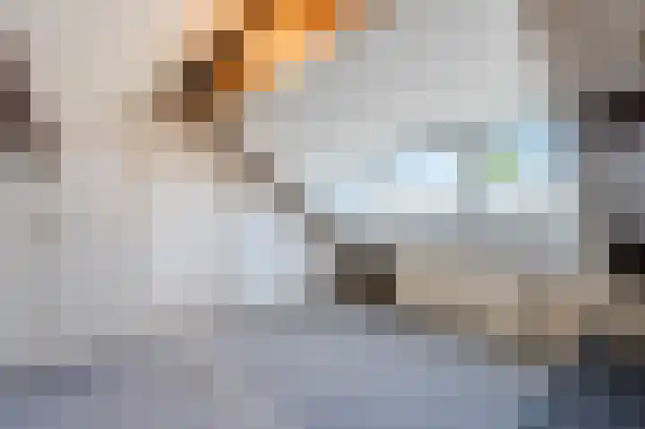 Professor Van der Waalslaan 14 Voorschoten thumbnail 26