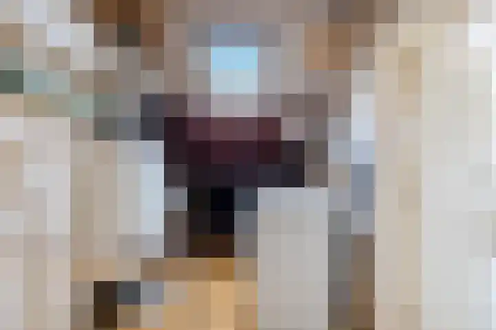 Professor Van der Waalslaan 14 Voorschoten thumbnail 30