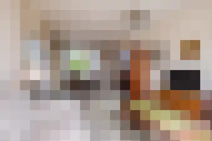 Professor Van der Waalslaan 14 Voorschoten thumbnail 8
