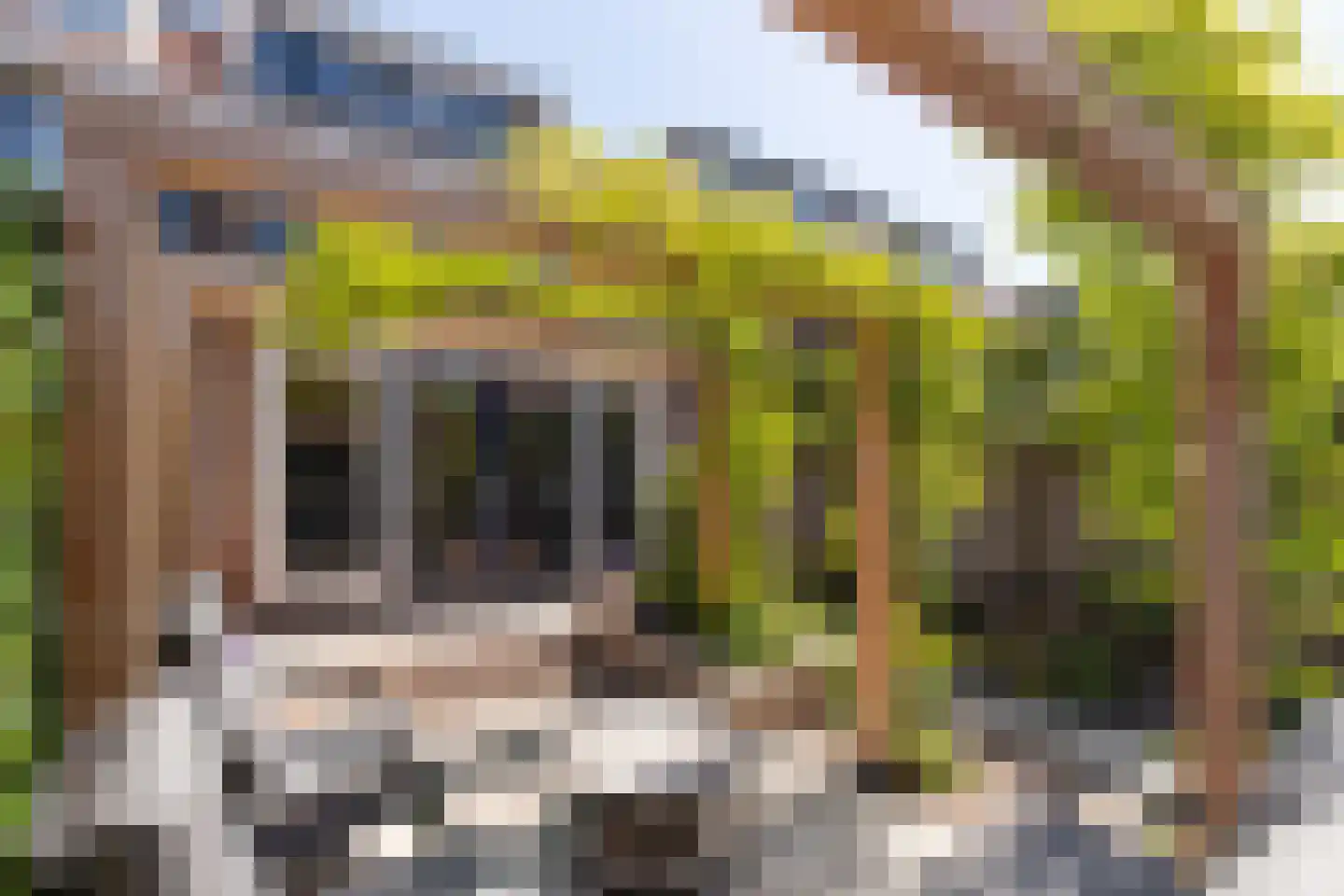 Professor Van der Waalsstraat 30 Haarlem thumbnail 14