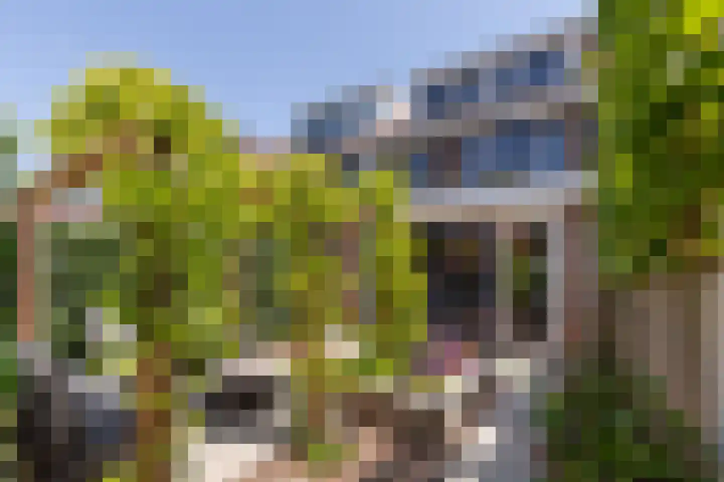 Professor Van der Waalsstraat 30 Haarlem thumbnail 15